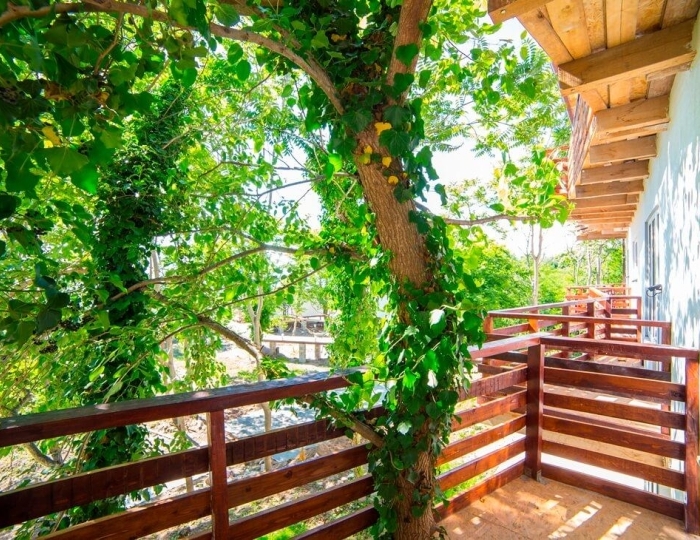 Отель Aqua Resort / АкваРезорт Мачара